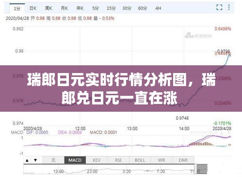 2024年12月20日 第29页