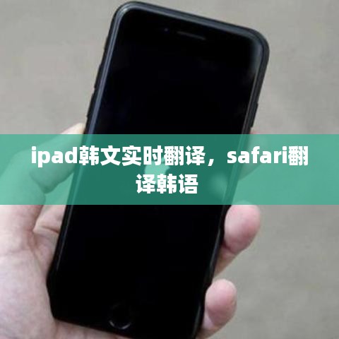 ipad韩文实时翻译，safari翻译韩语 