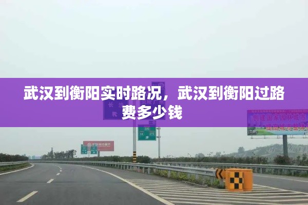 武汉到衡阳实时路况，武汉到衡阳过路费多少钱 