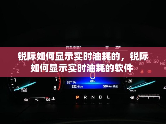 锐际如何显示实时油耗的，锐际如何显示实时油耗的软件 