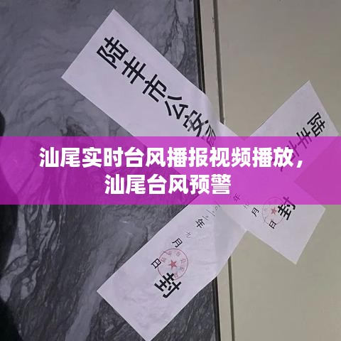 汕尾实时台风播报视频播放，汕尾台风预警 