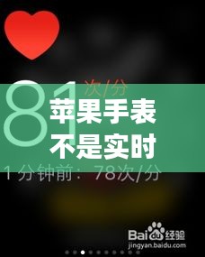 2024年12月20日 第20页