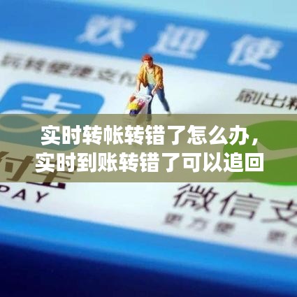 实时转帐转错了怎么办，实时到账转错了可以追回来吗? 