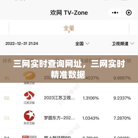 三网实时查询网址，三网实时精准数据 