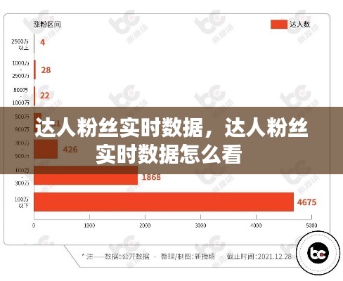 达人粉丝实时数据，达人粉丝实时数据怎么看 