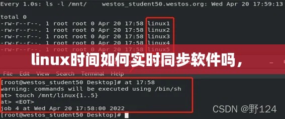 linux时间如何实时同步软件吗， 