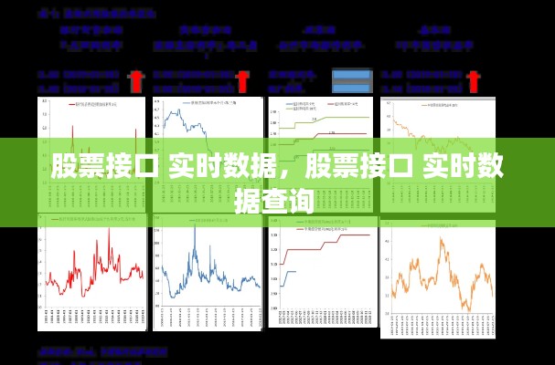 2024年12月20日 第3页