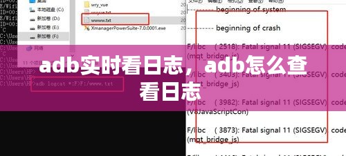 adb实时看日志，adb怎么查看日志 