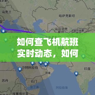 如何查飞机航班实时动态，如何查飞机航班实时动态图 