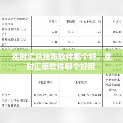 实时汇兑挂账软件哪个好，实时汇率软件哪个好用 