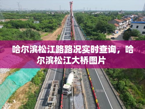 哈尔滨松江路路况实时查询，哈尔滨松江大桥图片 