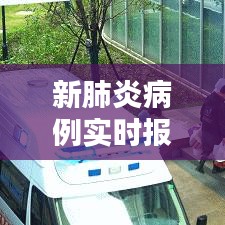 新肺炎病例实时报道，新肺炎实时动态 