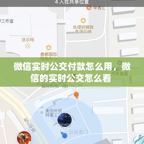 微信实时公交付款怎么用，微信的实时公交怎么看 