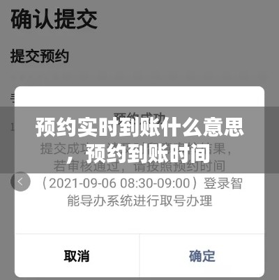 预约实时到账什么意思，预约到账时间 
