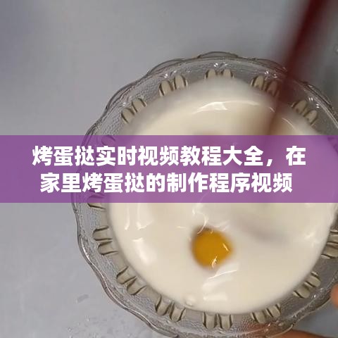 烤蛋挞实时视频教程大全，在家里烤蛋挞的制作程序视频 