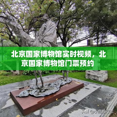 北京国家博物馆实时视频，北京国家博物馆门票预约 