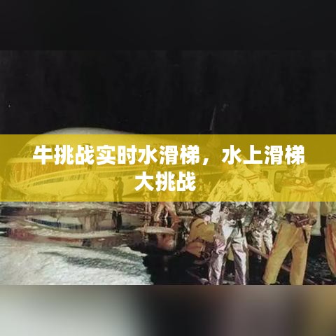 牛挑战实时水滑梯，水上滑梯大挑战 