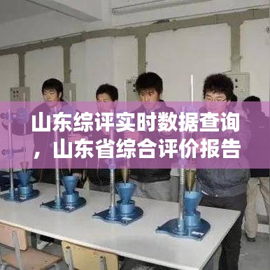 山东综评实时数据查询，山东省综合评价报告 