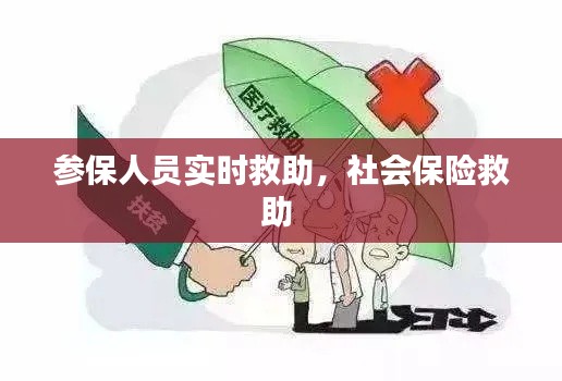 参保人员实时救助，社会保险救助 