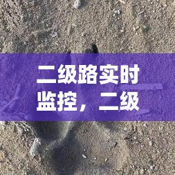 二级路实时监控，二级公路摄像头拍违法吗 