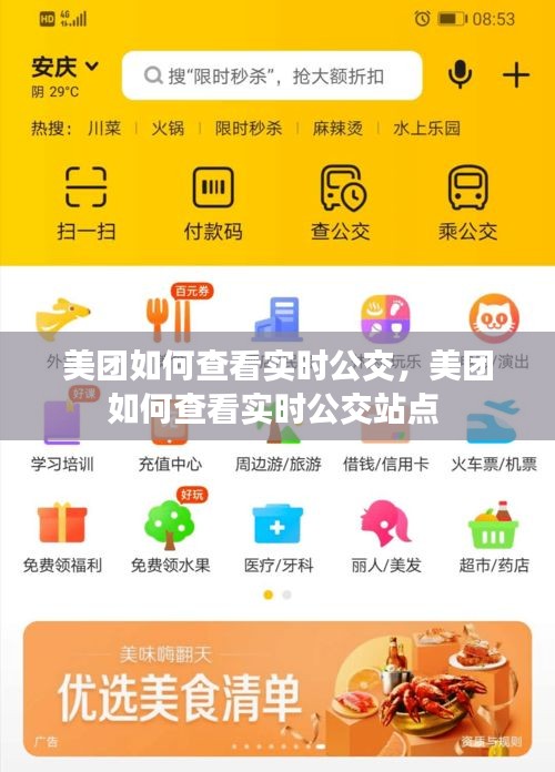 美团如何查看实时公交，美团如何查看实时公交站点 