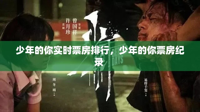 少年的你实时票房排行，少年的你票房纪录 