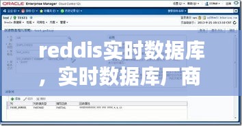 reddis实时数据库，实时数据库厂商 