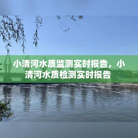 小清河水质监测实时报告，小清河水质检测实时报告 