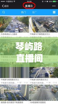 琴屿路直播间实时五一，琴屿路几点关门 