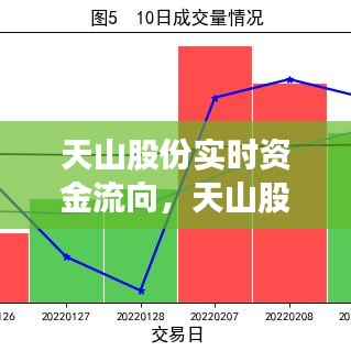 天山股份实时资金流向，天山股份2021年股票会好转吗 