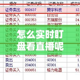 怎么实时盯盘看直播呢，如何盯盘 
