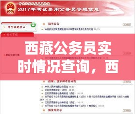 西藏公务员实时情况查询，西藏公务员实时情况查询网站 