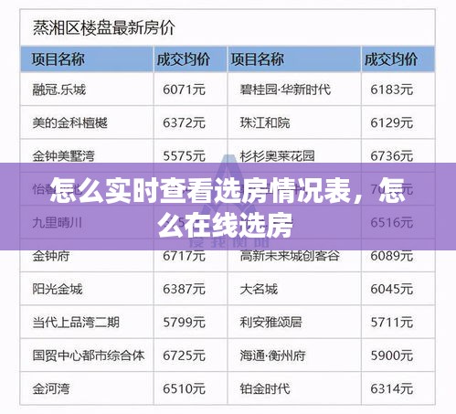 怎么实时查看选房情况表，怎么在线选房 