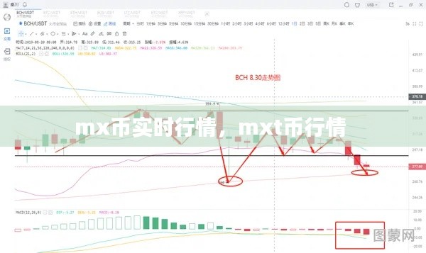 mx币实时行情，mxt币行情 