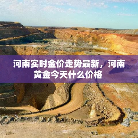 河南实时金价走势最新，河南黄金今天什么价格 