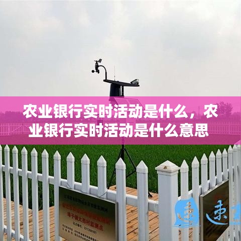 农业银行实时活动是什么，农业银行实时活动是什么意思 