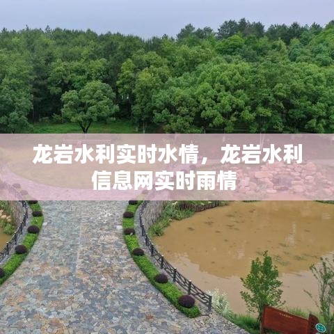 龙岩水利实时水情，龙岩水利信息网实时雨情 