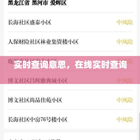 实时查询意思，在线实时查询 