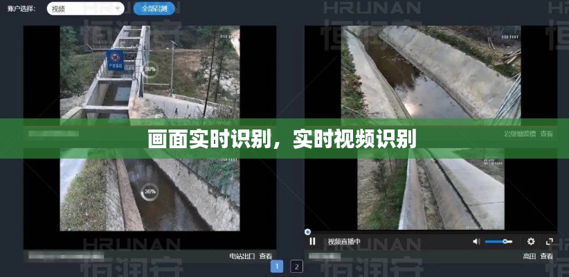 画面实时识别，实时视频识别 