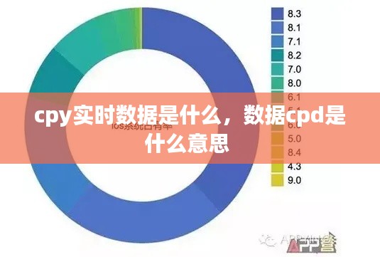 cpy实时数据是什么，数据cpd是什么意思 