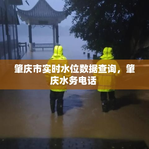 肇庆市实时水位数据查询，肇庆水务电话 