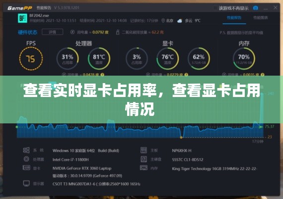 查看实时显卡占用率，查看显卡占用情况 