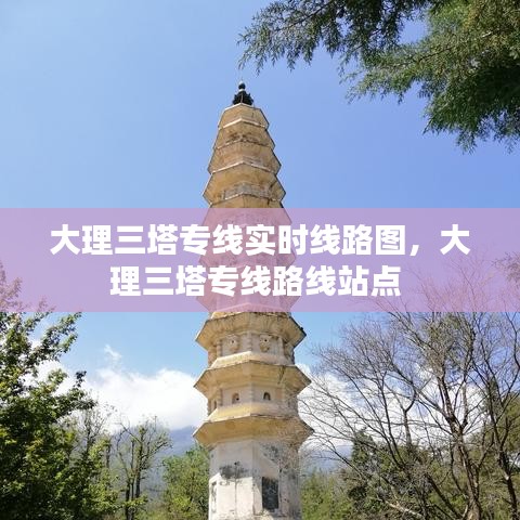 大理三塔专线实时线路图，大理三塔专线路线站点 