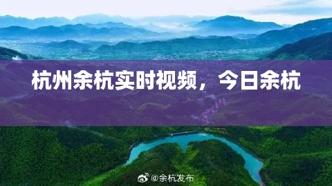 杭州余杭实时视频，今日余杭 