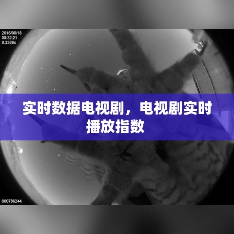 实时数据电视剧，电视剧实时播放指数 