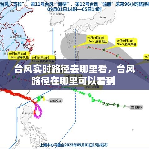 台风实时路径去哪里看，台风路径在哪里可以看到 