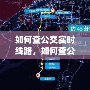 如何查公交实时线路，如何查公交实时线路情况 