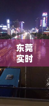 东莞实时暴雨天气图，东莞今天暴雨 