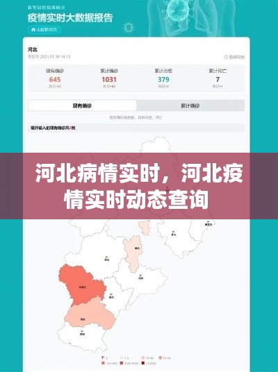 河北病情实时，河北疫情实时动态查询 