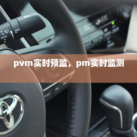 pvm实时预监，pm实时监测 